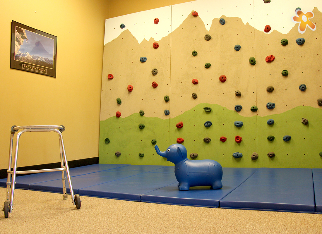 Orthopedic Rock Climbing Walll at Carolina Pediatric Therapy's Hendersonville Orthopedic clinic